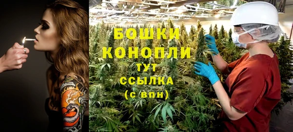 дмт Новодвинск
