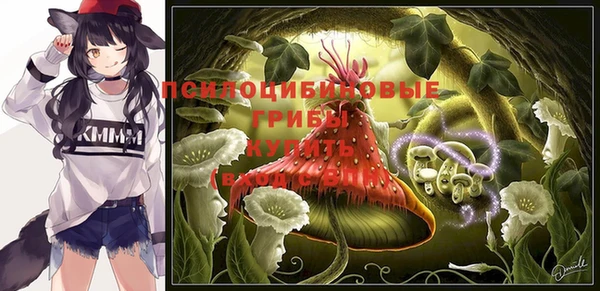 мяу мяу мука Новозыбков