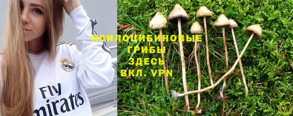 мяу мяу мука Новозыбков