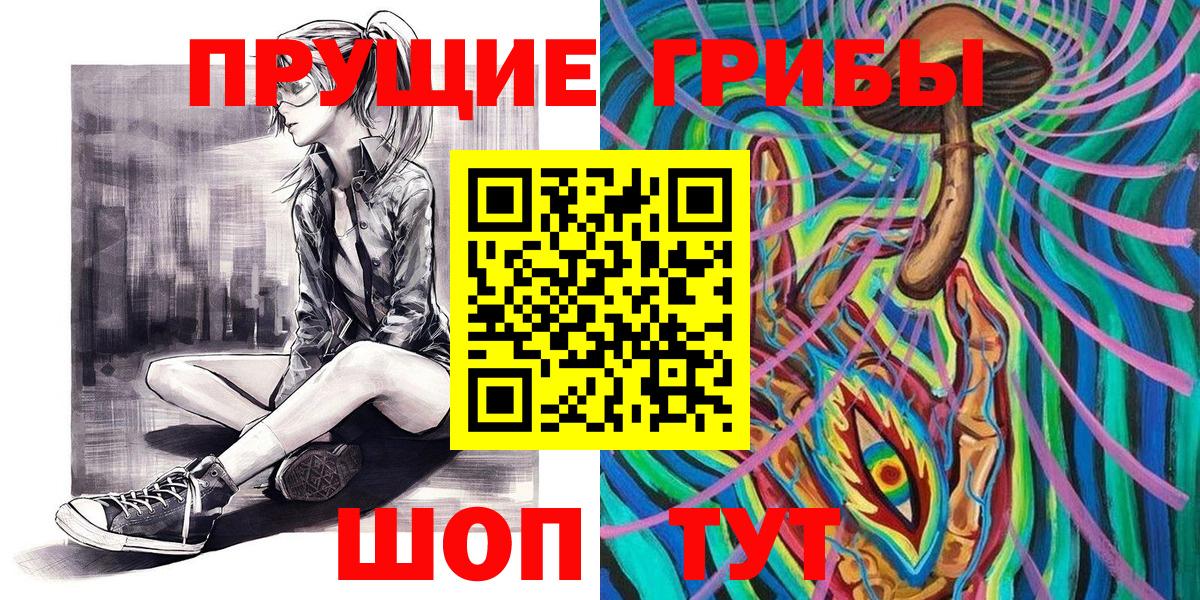 закладки  Белгород  Псилоцибиновые грибы мицелий 